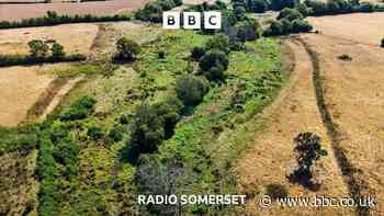 Somerset's surprisingly green oasis