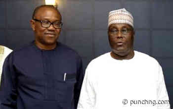 Atiku, Obi camps reject single opposition candidate