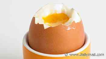 British egg farmers' fury over salmonella advice as they say government is 'sowing seeds of doubt'