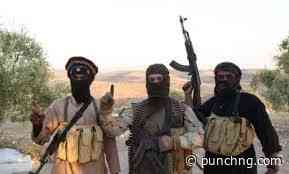 Terrorists attack Niger mosque, abduct worshippers