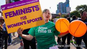 Protestors clash in heated scenes ahead of Fever's clash against Liberty as pro-trans campaigners hit out 'grotesque' Sophie Cunningham amid WNBA storm