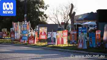 WA by-election puts One Nation's growing appeal to the test