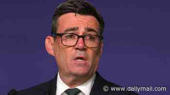 Andy Burnham faces claims he breached MP rules by failing to declare £6,600 party in Japan