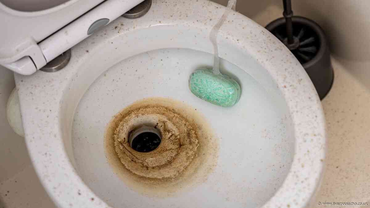 Brown toilet stains will disappear overnight without scrubbing if you use 1 natural item