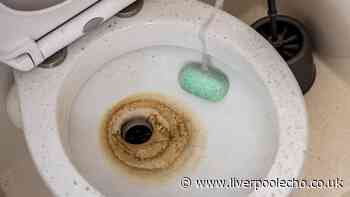 Brown toilet stains will disappear overnight without scrubbing if you use 1 natural item
