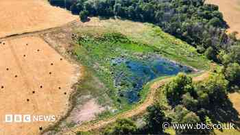 Experts battling extinctions after record heat
