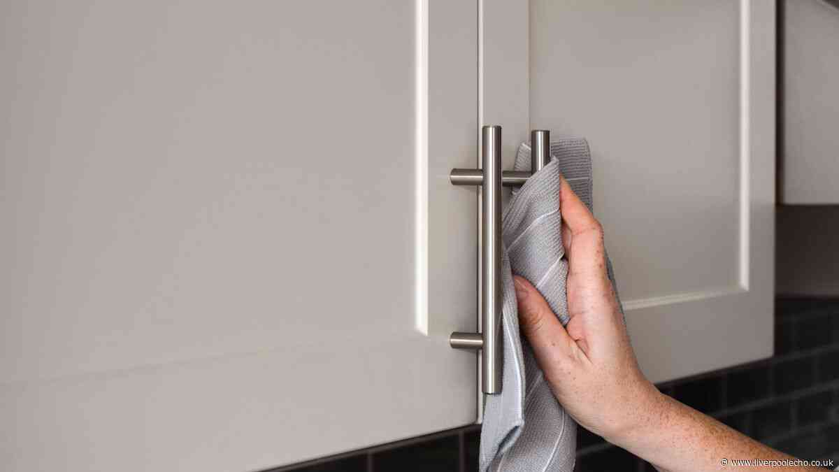 Keep kitchen cabinets clean and free from fingerprints with 1 item you already have