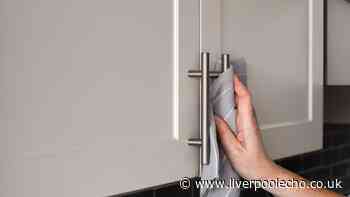 Keep kitchen cabinets clean and free from fingerprints with 1 item you already have