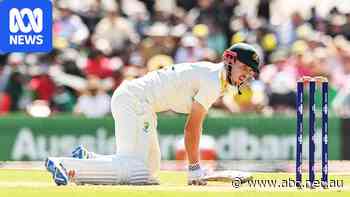 Live: Starc with more new-ball magic after Australia bowled out for 210