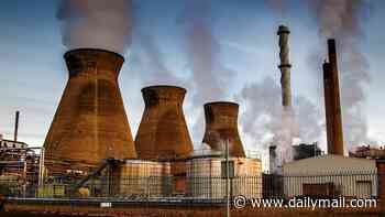 Iranian hackers 'shut down British power plant for four days' in unprecedented cyber attack