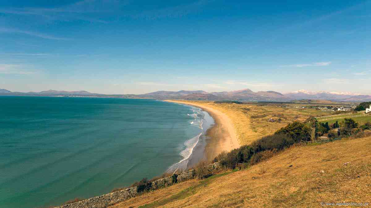 Prettiest beach in Wales has 'pure white sand and clear waters' that feels like you're abroad