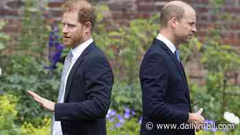 MAIL ON SUNDAY COMMENT: For the sake of the Monarchy, and their sick father, the Princes must now reconcile