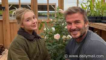 Brand it like Beckham continues... Sir David trademarks 50th birthday rose from his daughter Harper