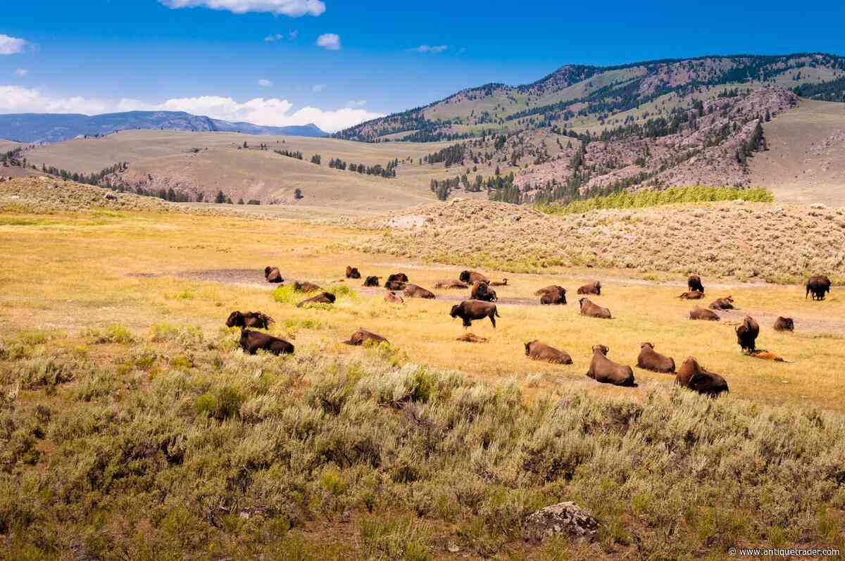 America at 250: Montana: The Treasure State