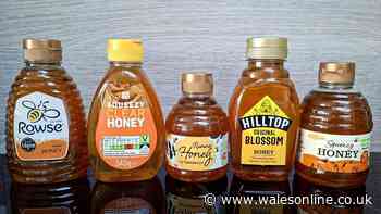 I tried supermarket honey from Aldi, Sainsbury's and more — two were better than Rowse