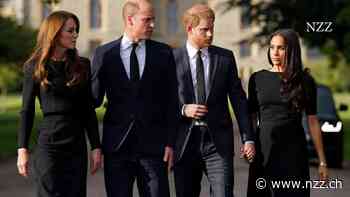 Bruderzwist im Hause Windsor: Baut Prinz Harry einen Gegenhof auf?