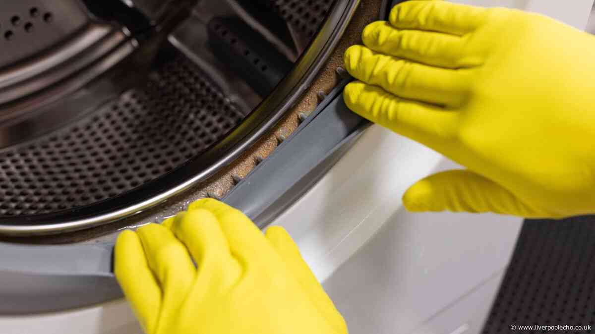 Adding 2 items to washing machine drum will banish unwanted musty smells