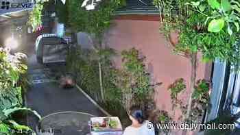 Aussie tourist is filmed having sex with a woman outside a house in Bali as shocked homeowner is forced to flee back inside after catching the pair
