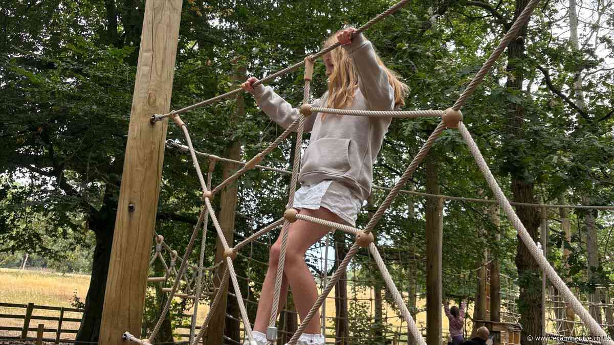 Stockeld Park packs everything in for full family day out this summer