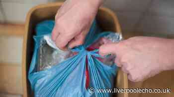 Flies and maggots flee from wheelie bins when you add 2 store cupboard spices