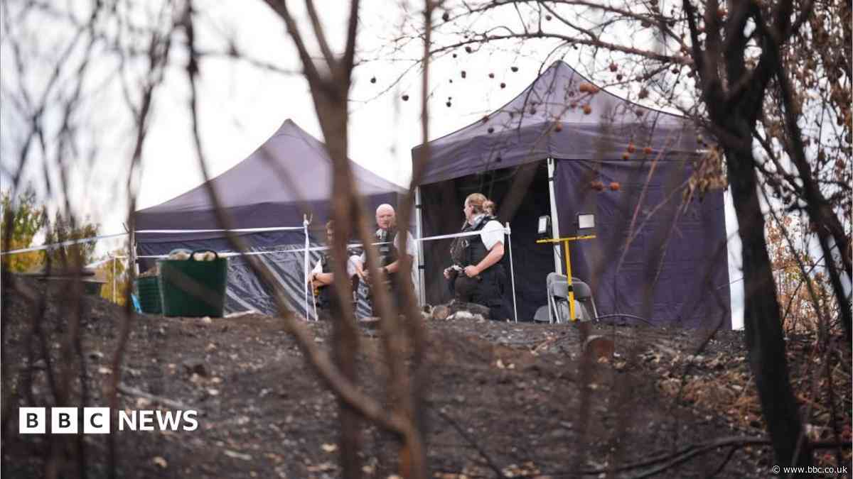 Murder probe after wildfire uncovers body in park