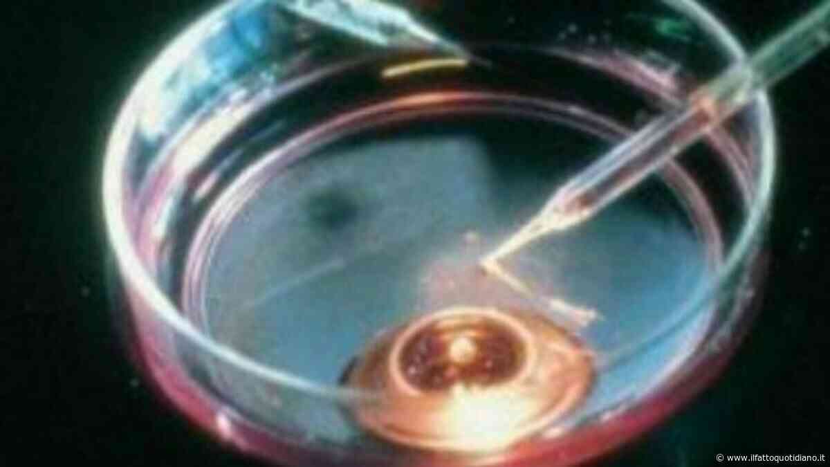 Congelamento degli ovuli: a vantaggio di chi si sta ingaggiando questa lotta?