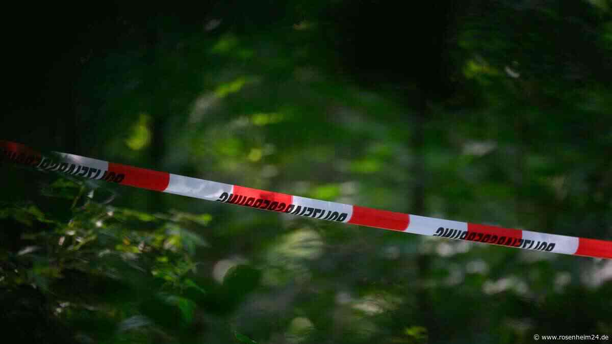 Grausame Entdeckung: Tote Katzen in Müllsäcken in Wald in Oberbayern gefunden