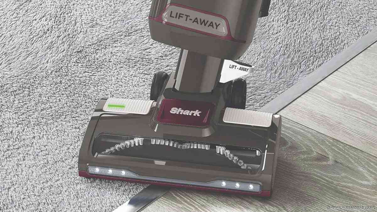 Shark's £240 vacuum 'best for homes with pets' now £150 as '100s sold' this week