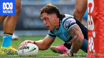 Live: Brute force and brilliance puts Cronulla on top