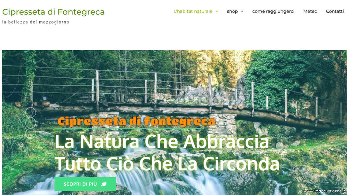 L’Italia dei posti magnifici: le mie impressioni della Cipresseta di Fontegreca