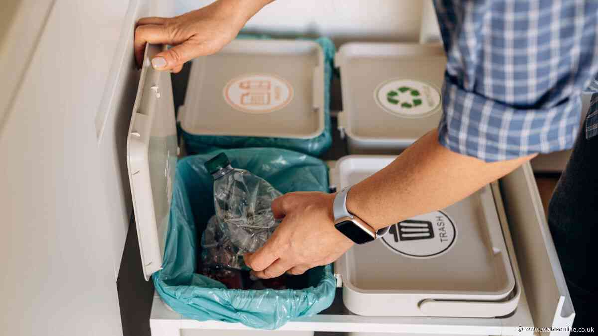 Two kitchen cupboard staples that will banish flies and maggots from your rubbish bin