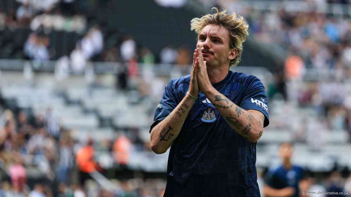 Newcastle United handed £74m Nick Woltemade update as striker truth clear