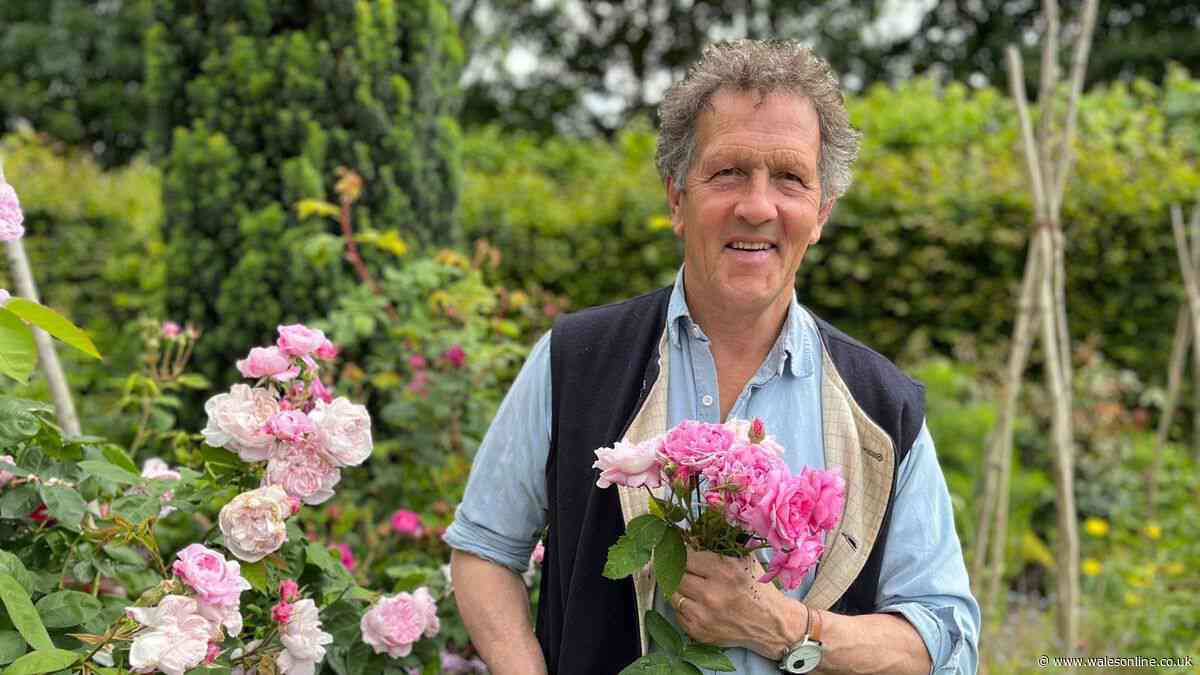 Monty Don urges gardeners to do one thing daily for most beautiful roses