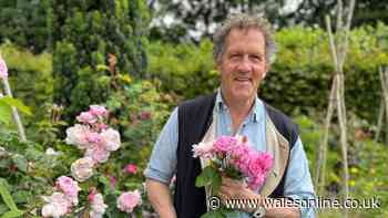 Monty Don urges gardeners to do one thing daily for most beautiful roses