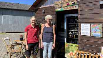 „Ein Selbstläufer“: Beliebte Selbstbedienungsautomaten – hier gibt es sogar Eis für Hunde