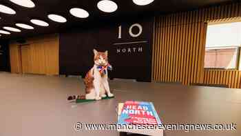 Inside No 10 North