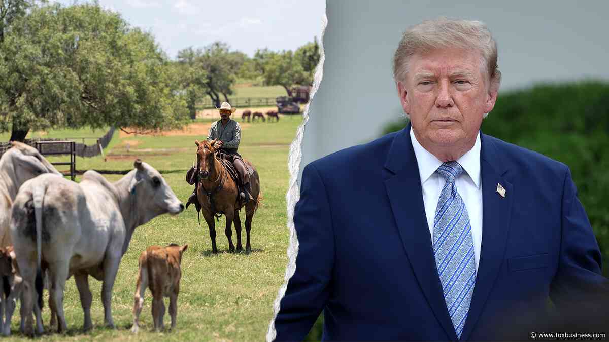 Trump’s foreign beef push to cut grocery costs sparks GOP revolt from ranching country