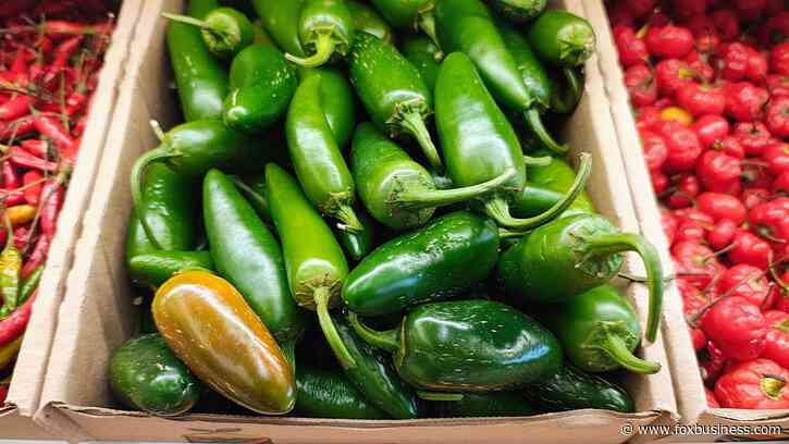 Jalapeño-linked salmonella outbreak sickens 431 people across 32 states