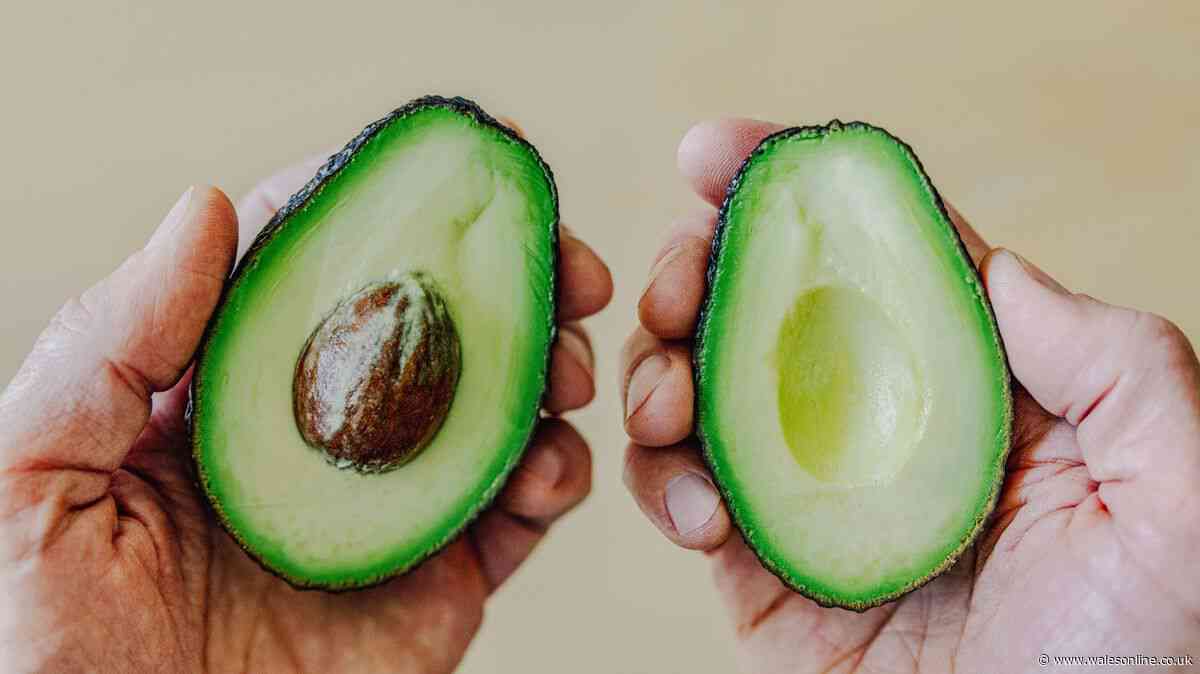 Stop eating avocados on toast with eggs as 11-minute recipe is healthier and tastier