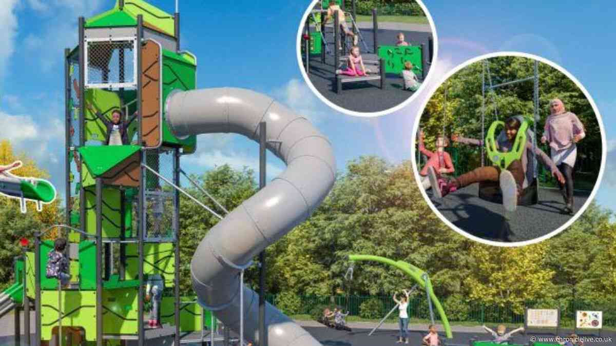 Massive new play area with 9 metre tower to arrive at popular North East park