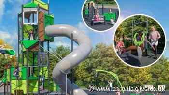 Massive new play area with 9 metre tower to arrive at popular North East park