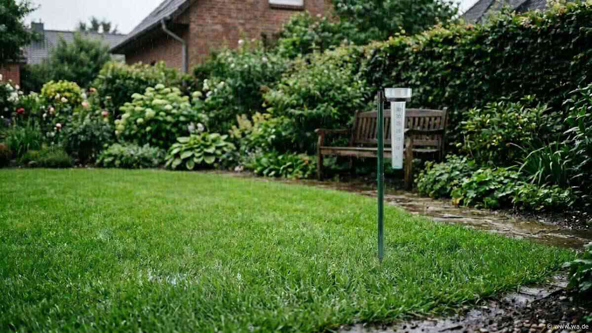 Gärtner verfolgen den Wetterbericht und fragen sich, ob 2 Millimeter Niederschlag ihrem Rasen nach der Dürre helfen