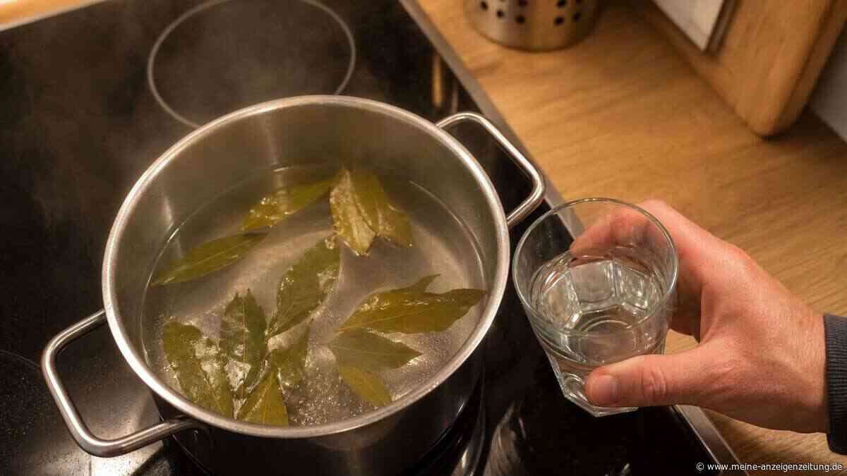 Lorbeer im Essig: Ein simpler Mix sorgt gerade für Wirbel