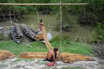 Major UK-funded climate project in Bangladesh forced to close over aid cuts