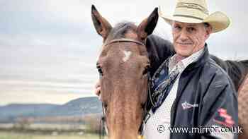 Disgraced Royal Marine's 'magic in action' using horses to heal shattered forces veterans