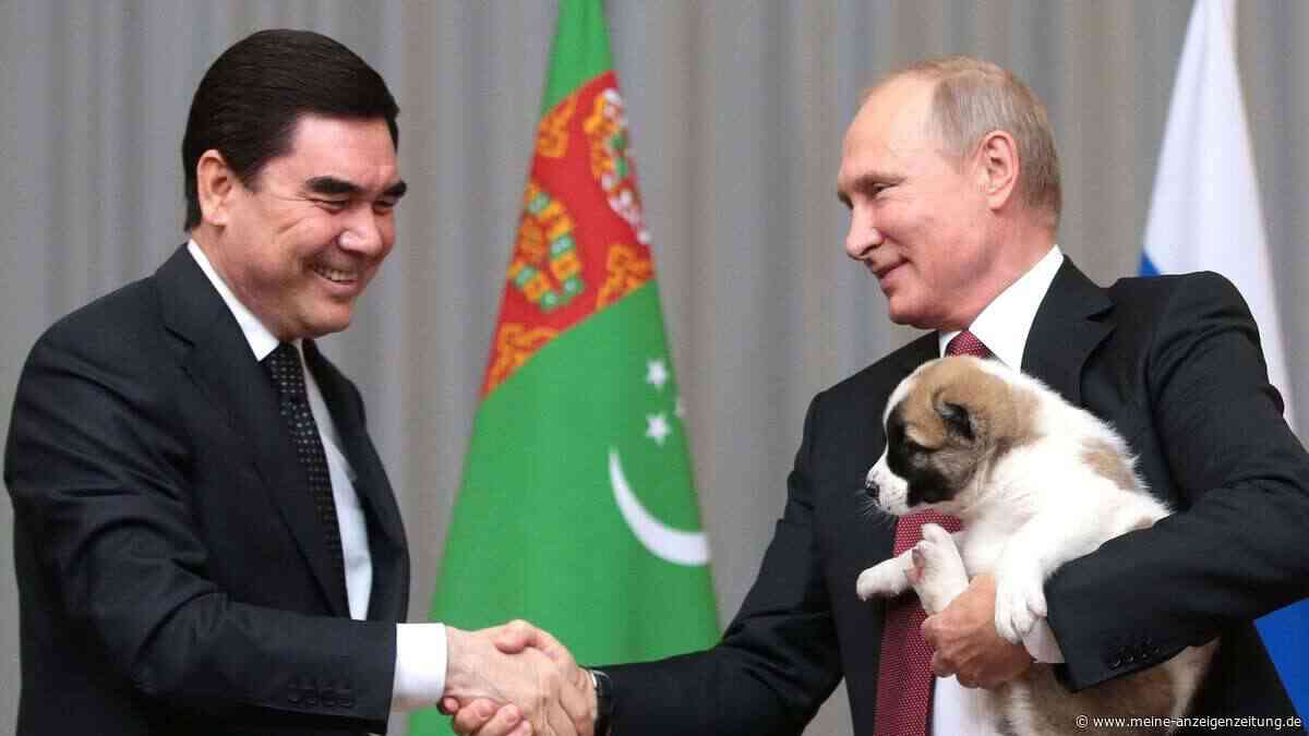Putin zeigt sich gern mit Hunden – doch die Tiere haben eine politische Funktion