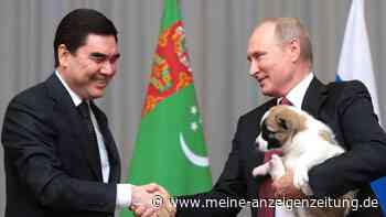 Putin zeigt sich gern mit Hunden – doch die Tiere haben eine politische Funktion