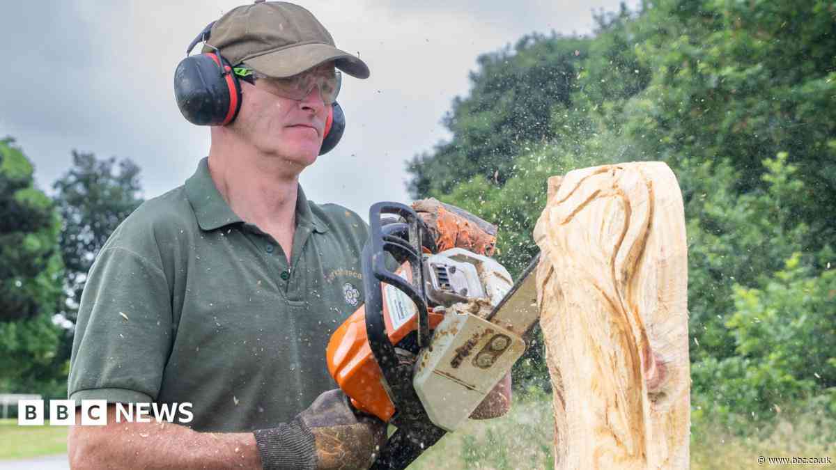 Chainsaw artist swaps wood for sand on TV contest