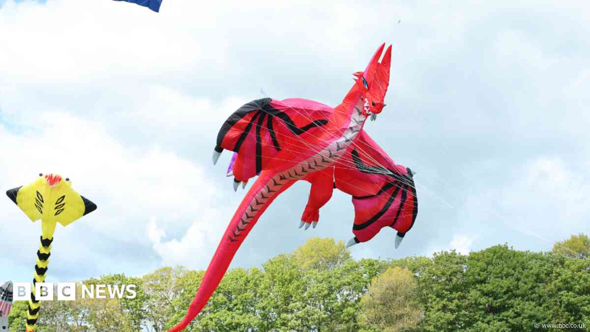 Country house to host first kite festival