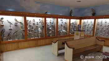 Shipwrecks, dulse and birds — lots of birds — at this museum